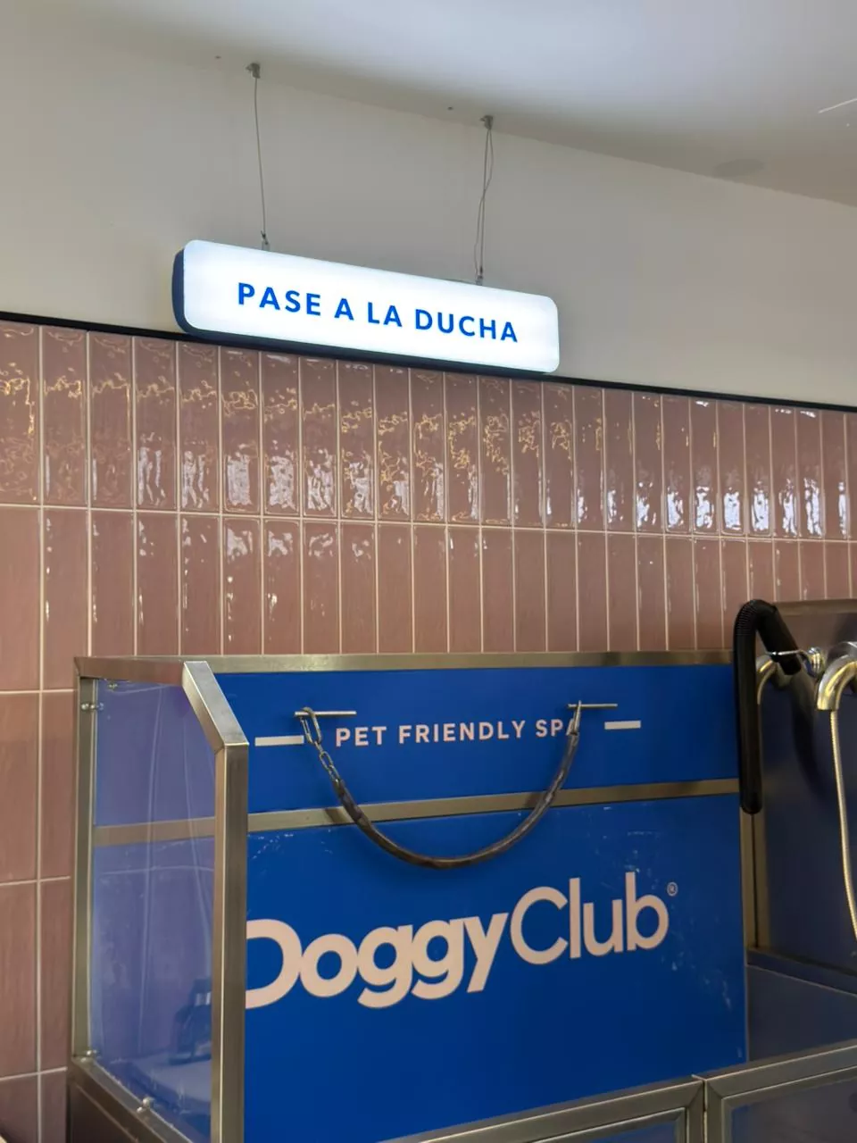 Whatsapp image 2026 03 01 at 6.20.06 pm  2 