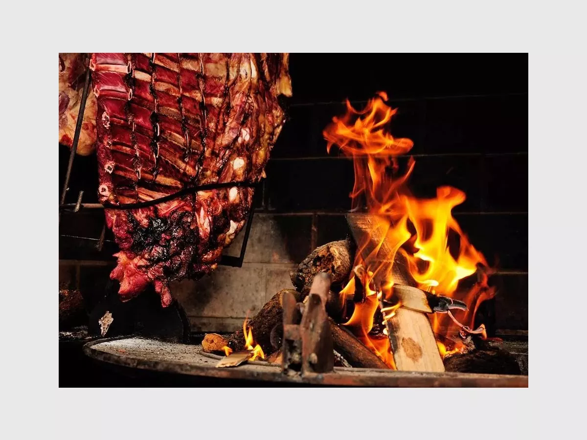 Show 13061957 160873537643700 7704869379044131195 n