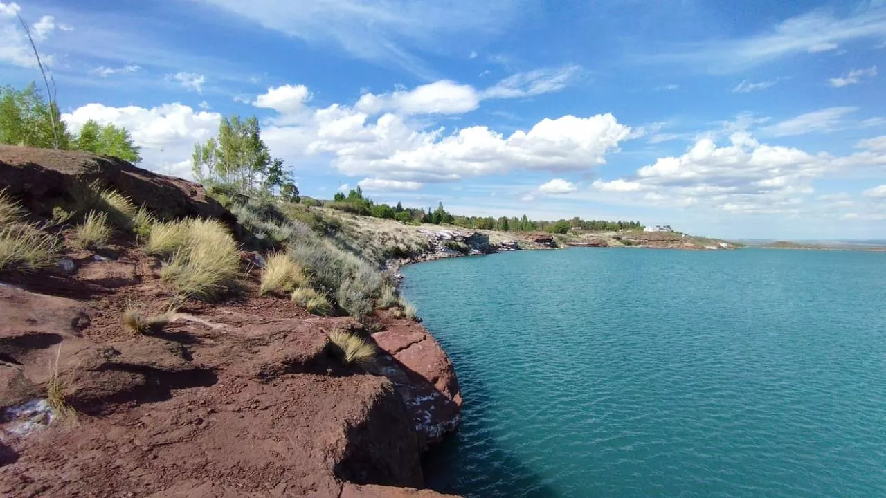 Whatsapp image 2025 11 01 at 03.21.19  1 