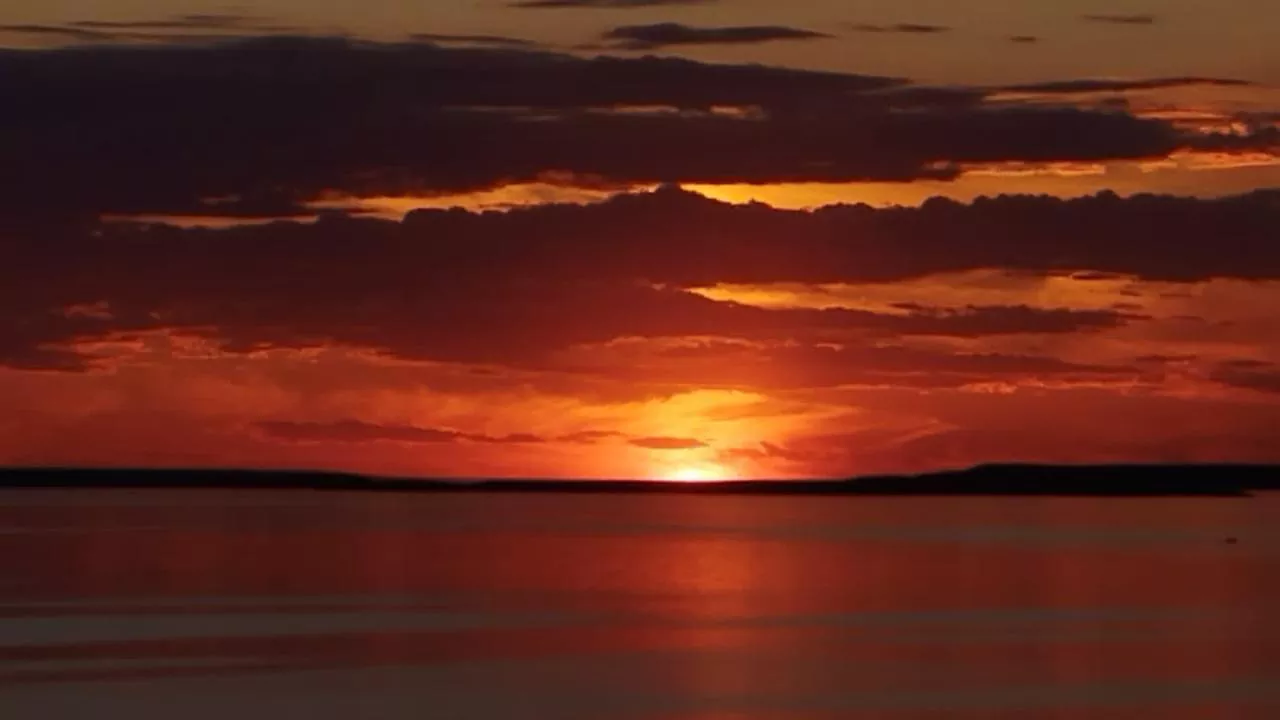 Whatsapp image 2025 11 01 at 03.21.19