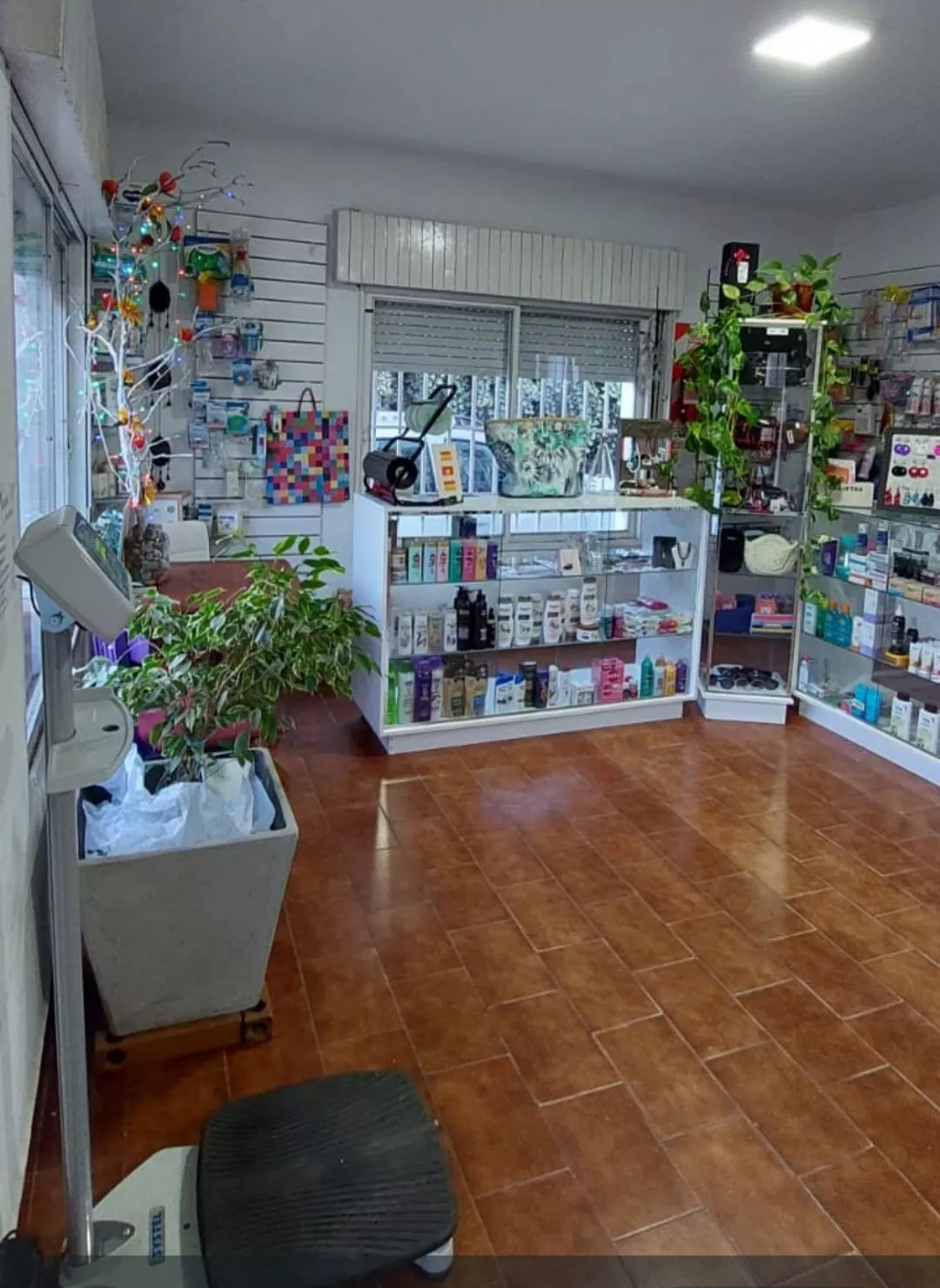 Farmacia maya despacho