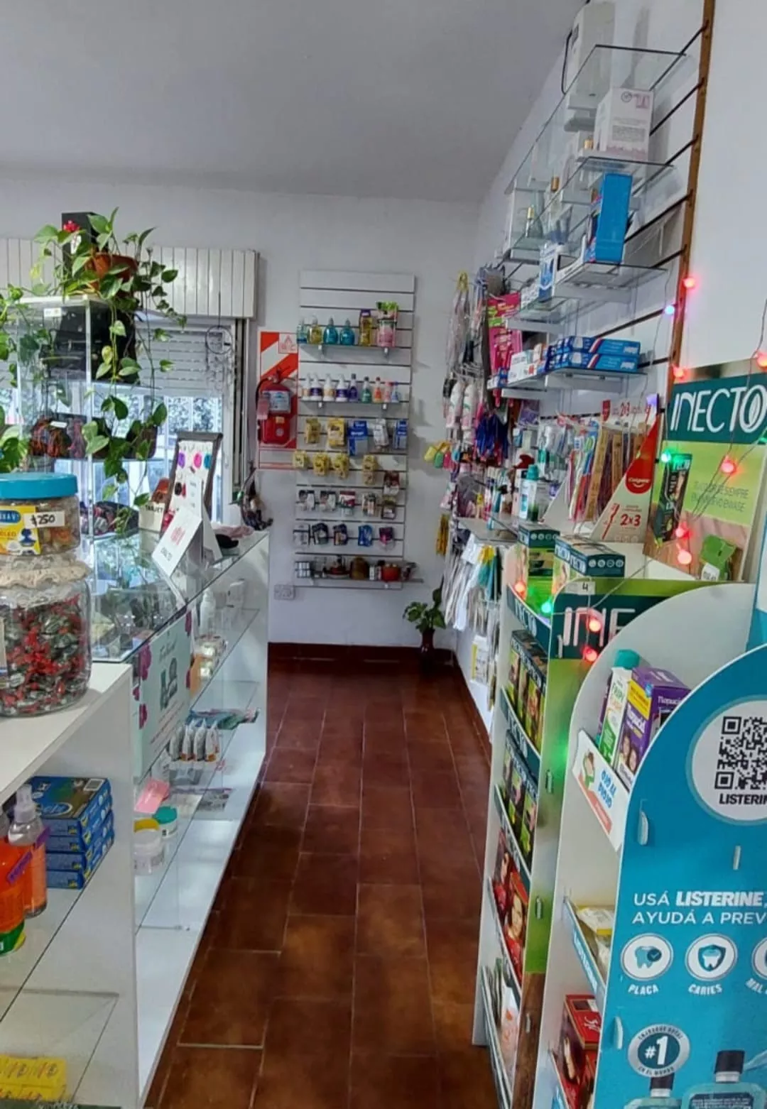 Farmacia maya detras de mostradores