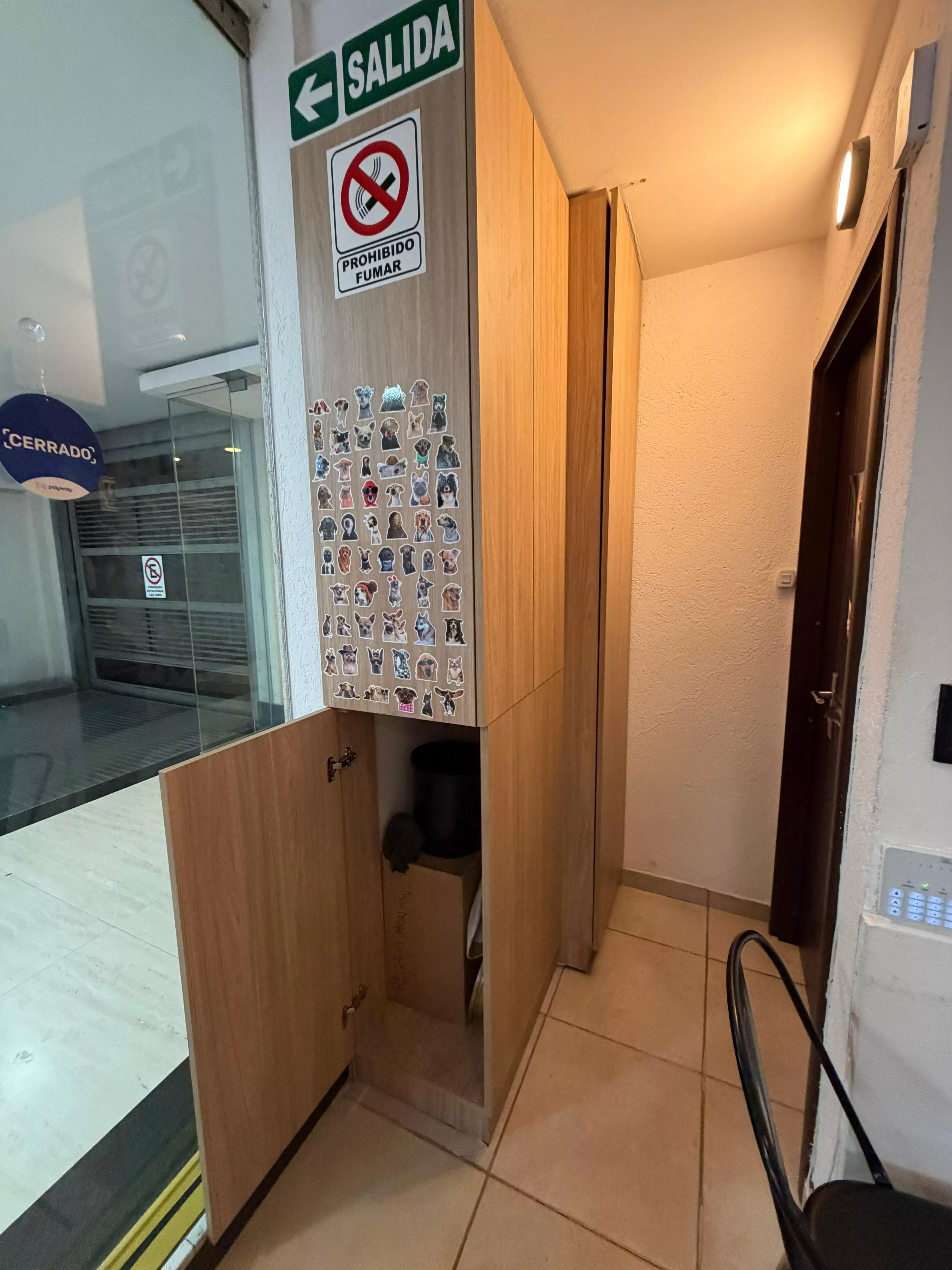 B99772a6 a174 42e7 8c72 b27a2d9b768c