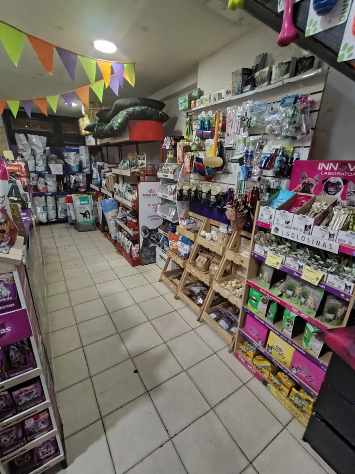 Whatsapp image 2026 04 21 at 10.33.41 am  1 