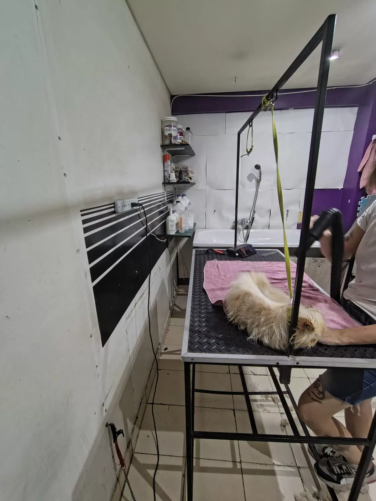 Whatsapp image 2026 04 21 at 10.33.41 am